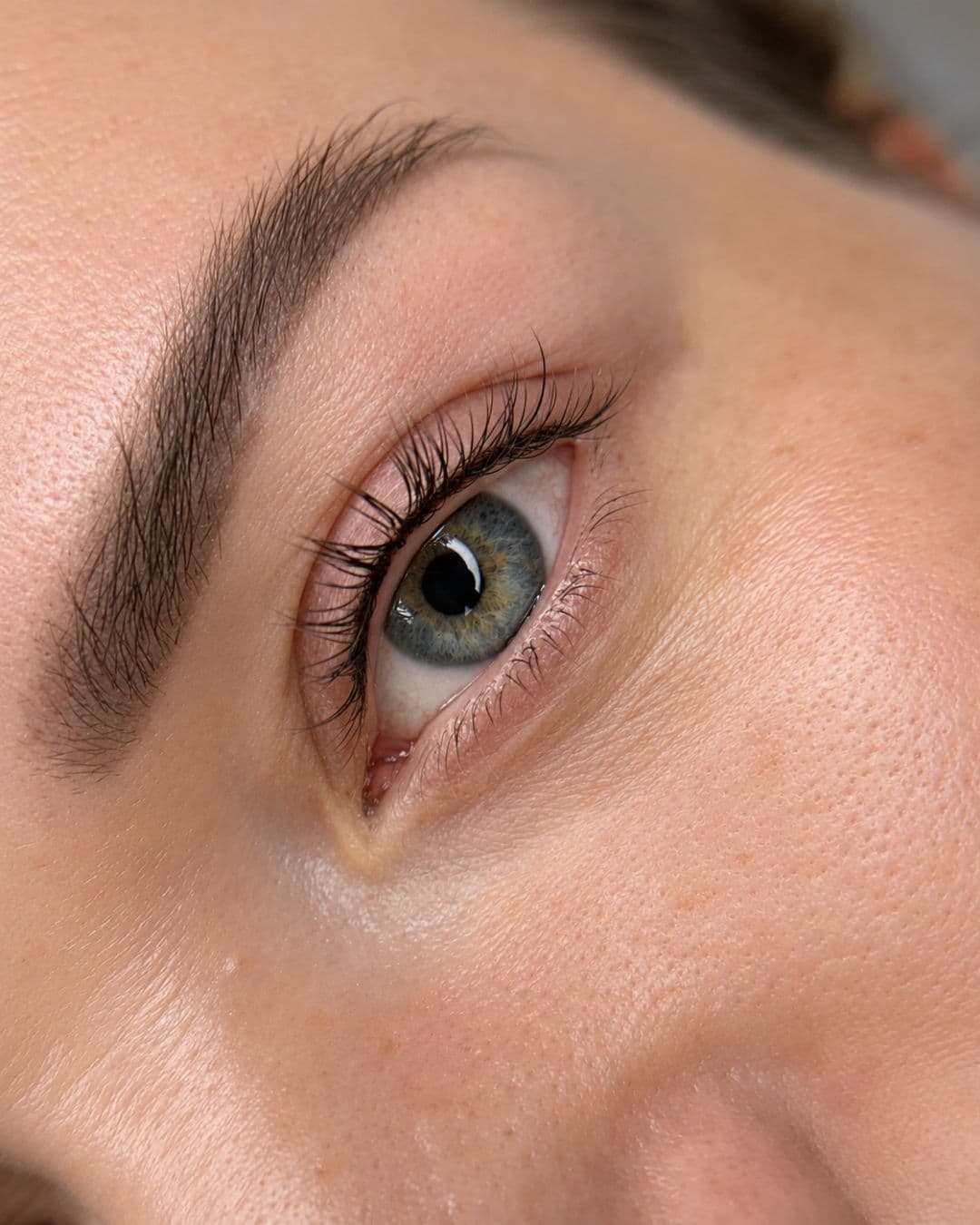 Wimpernkranz
